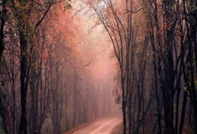 蒙古隊主場判罰令人咋舌 各種荒唐犯規吹在我們頭上.