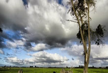 金年会体育：西甲第9輪格拉納達2-2巴塞羅那 亞馬爾破門羅貝托絕平 巴薩錯失絕殺良機！.